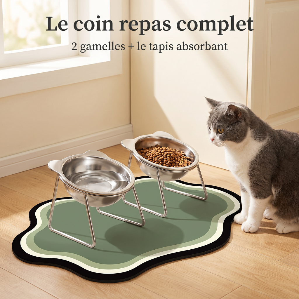 Coin repas complet : deux gamelles surélevées sur le tapis absorbant vert